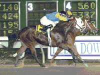 Coronado Rose - Asmussen breaks wins record