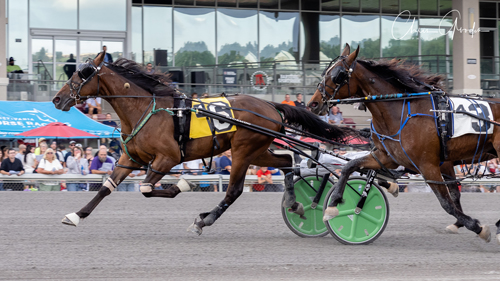 Austral Hanover 7-29-22
