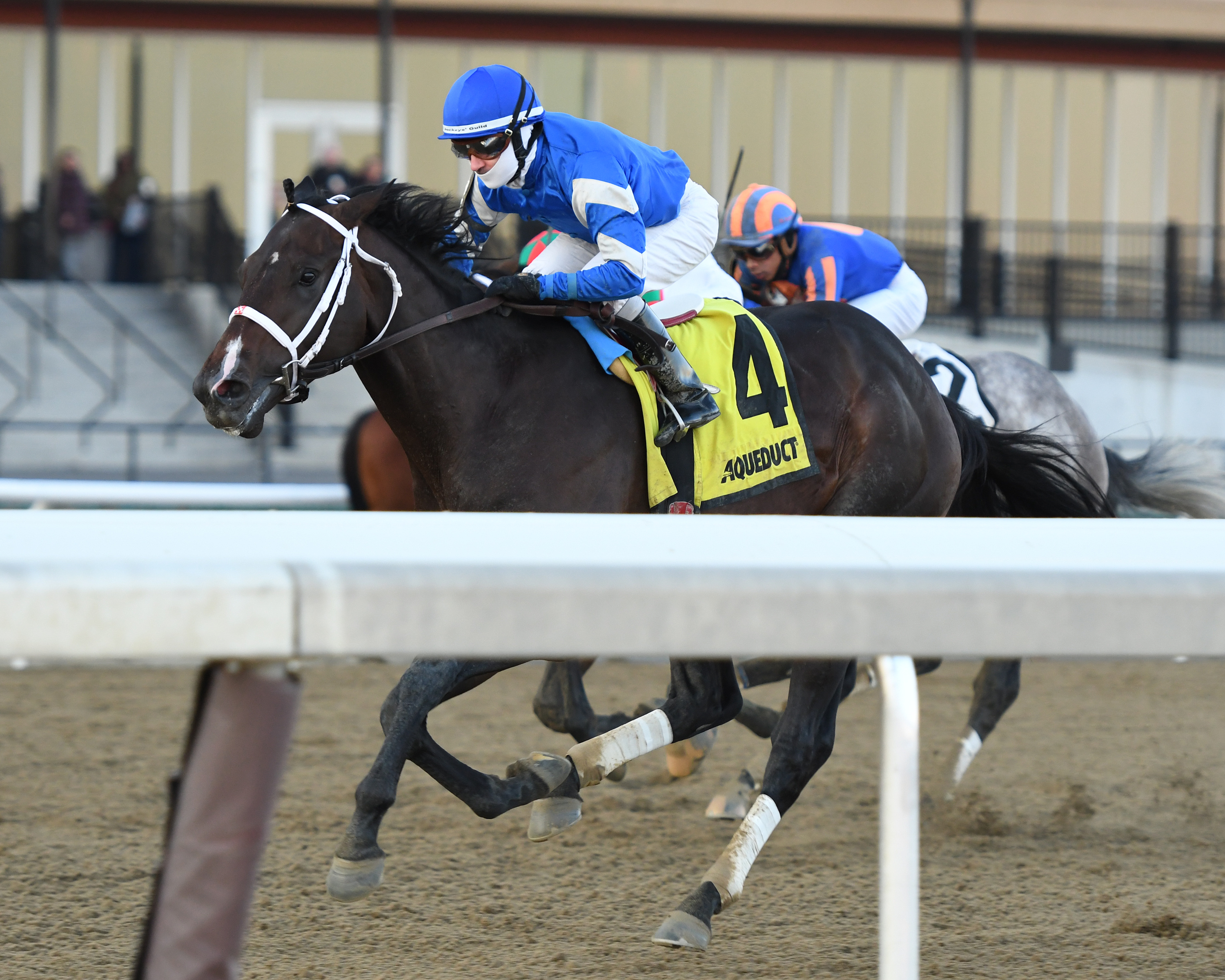 Avery Island wins 2018 Withers