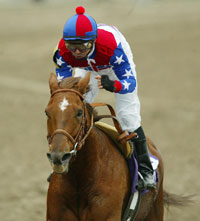 Azeri crosses the wire a five-length winner of the Breeders' Cup Distaff Saturday at Arlington Park.