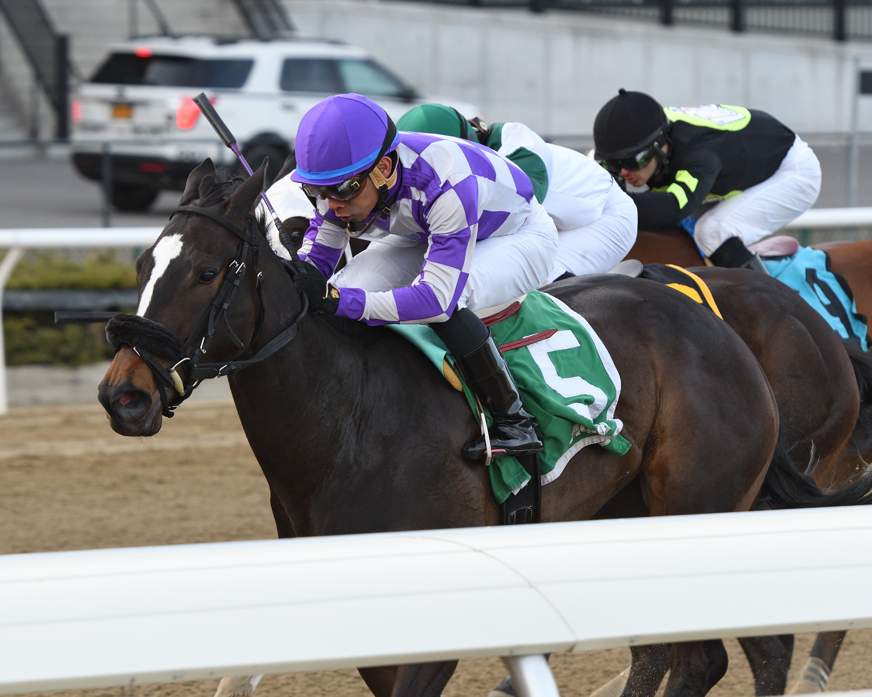 Baby Boss wins 2018 Park Avenue