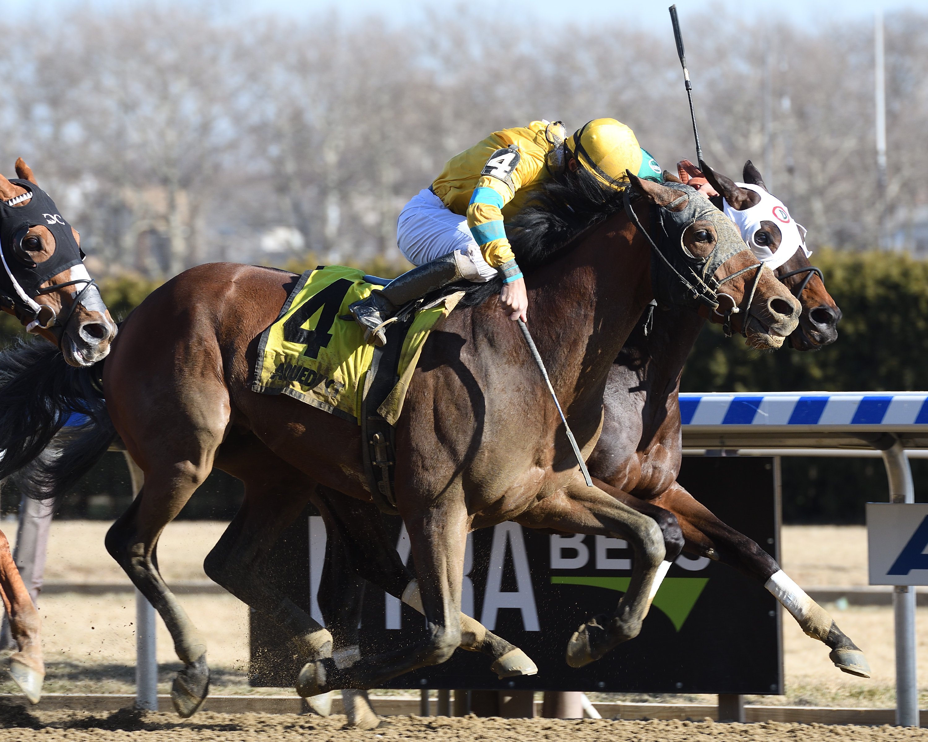 Backsideofthemoon