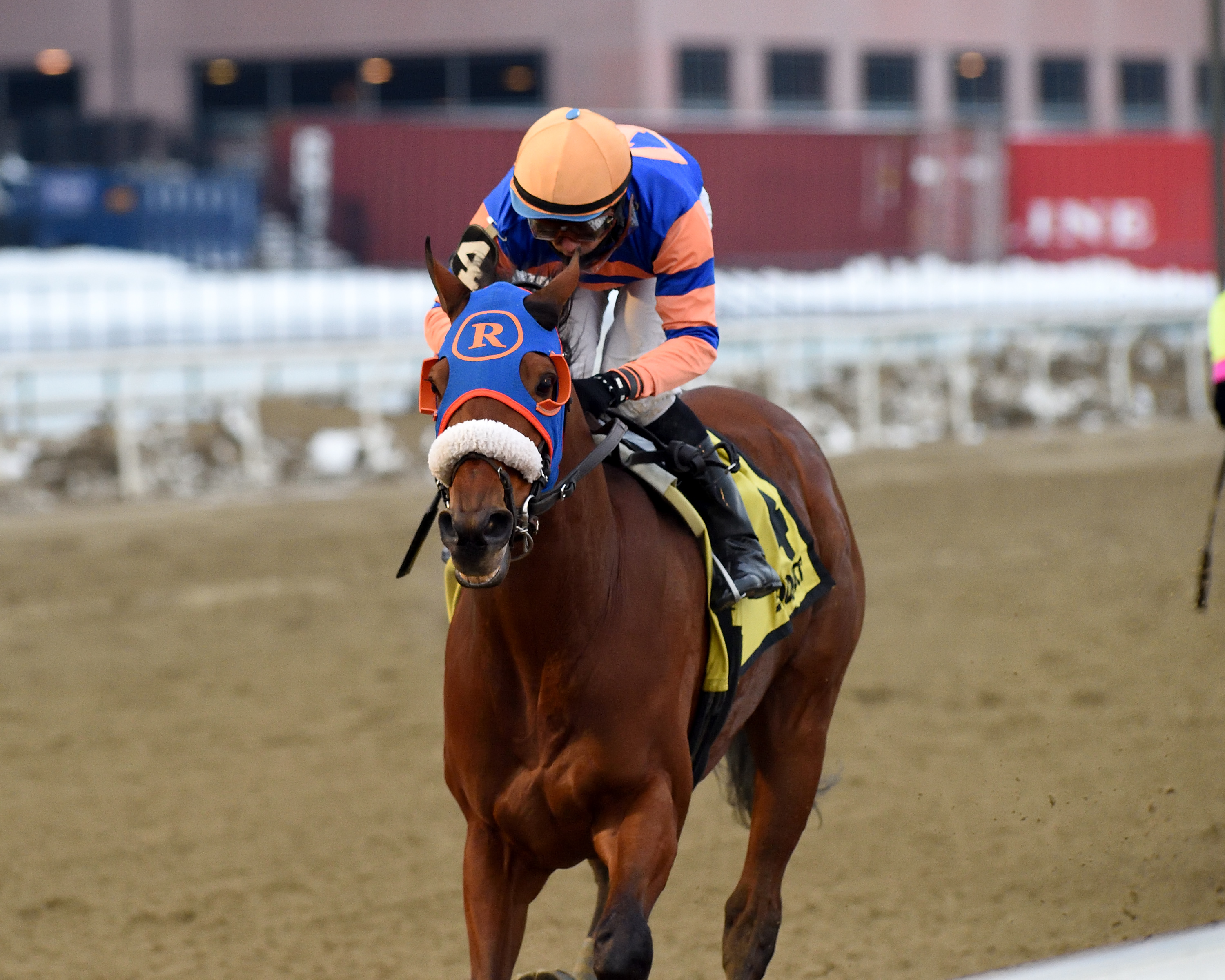 Backsideofthemoon wins The Queens County 12-19-2020