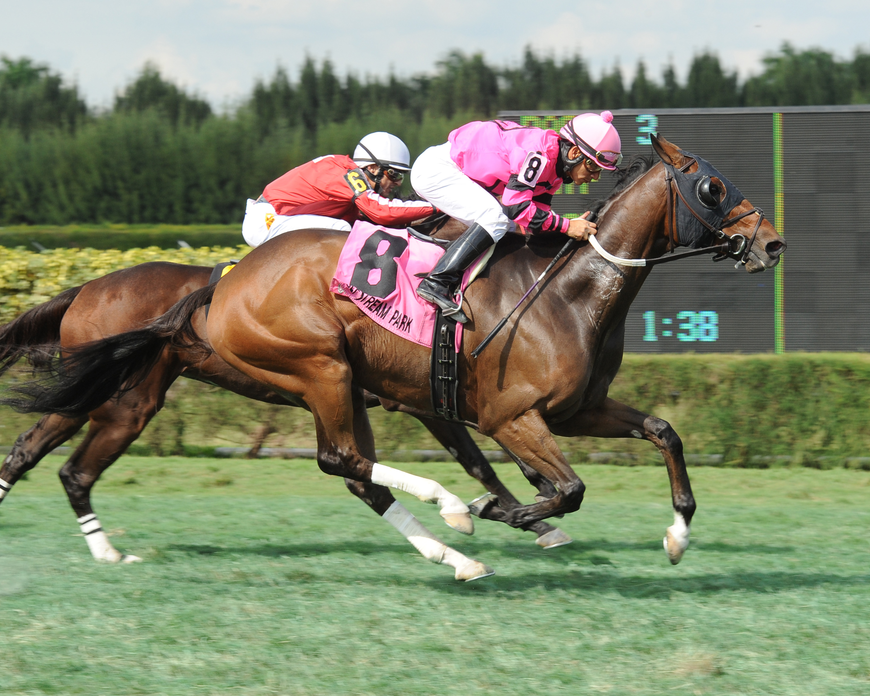 Bad Debt successfully defends Millions Turf Preview title