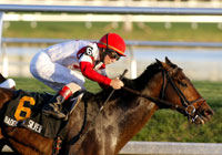 Badge of Silver