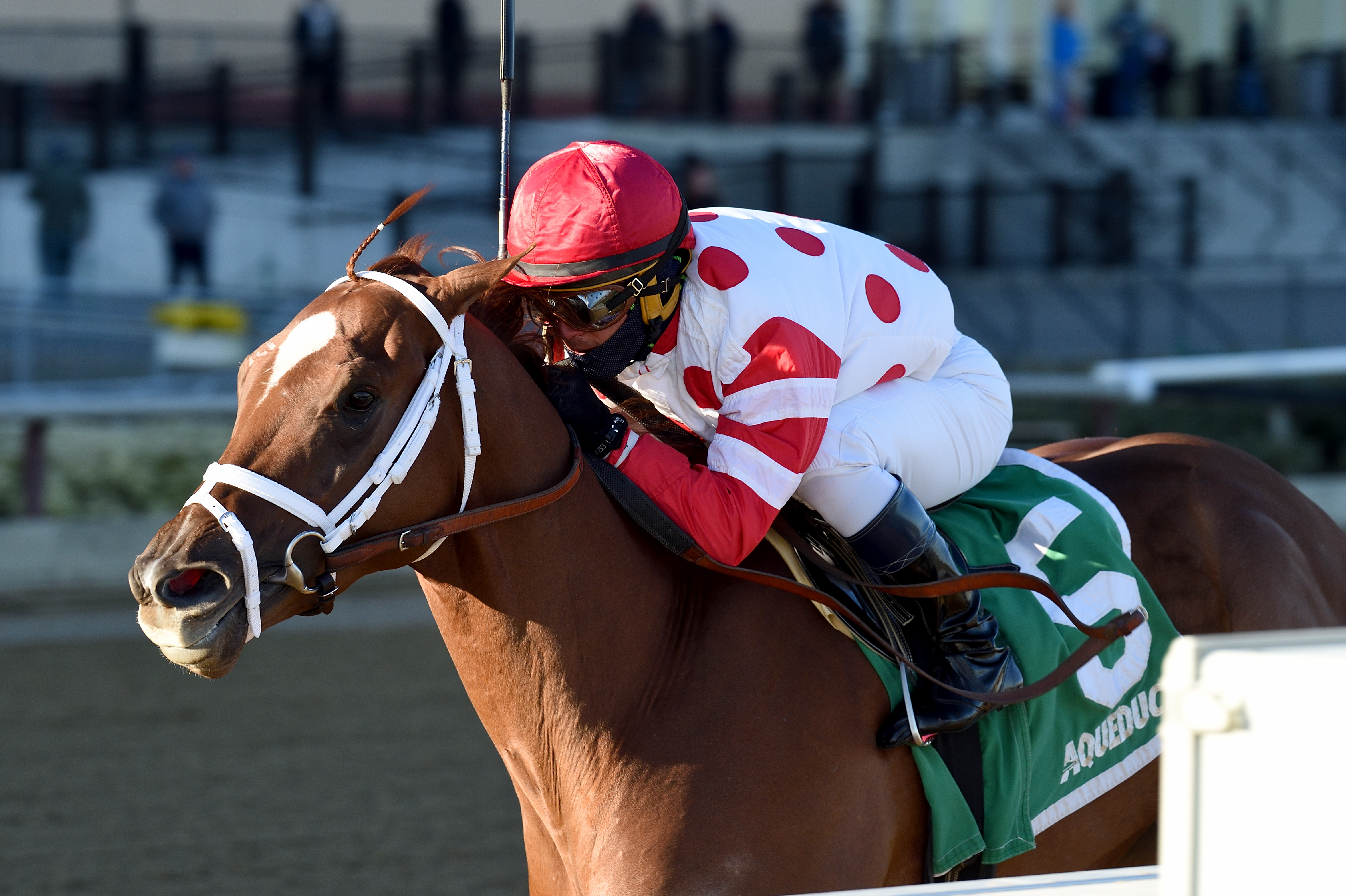 Bal Harbour wins 2018 Gio Ponti