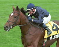 Ballingarry