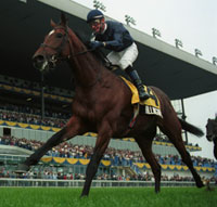 Ballingarry