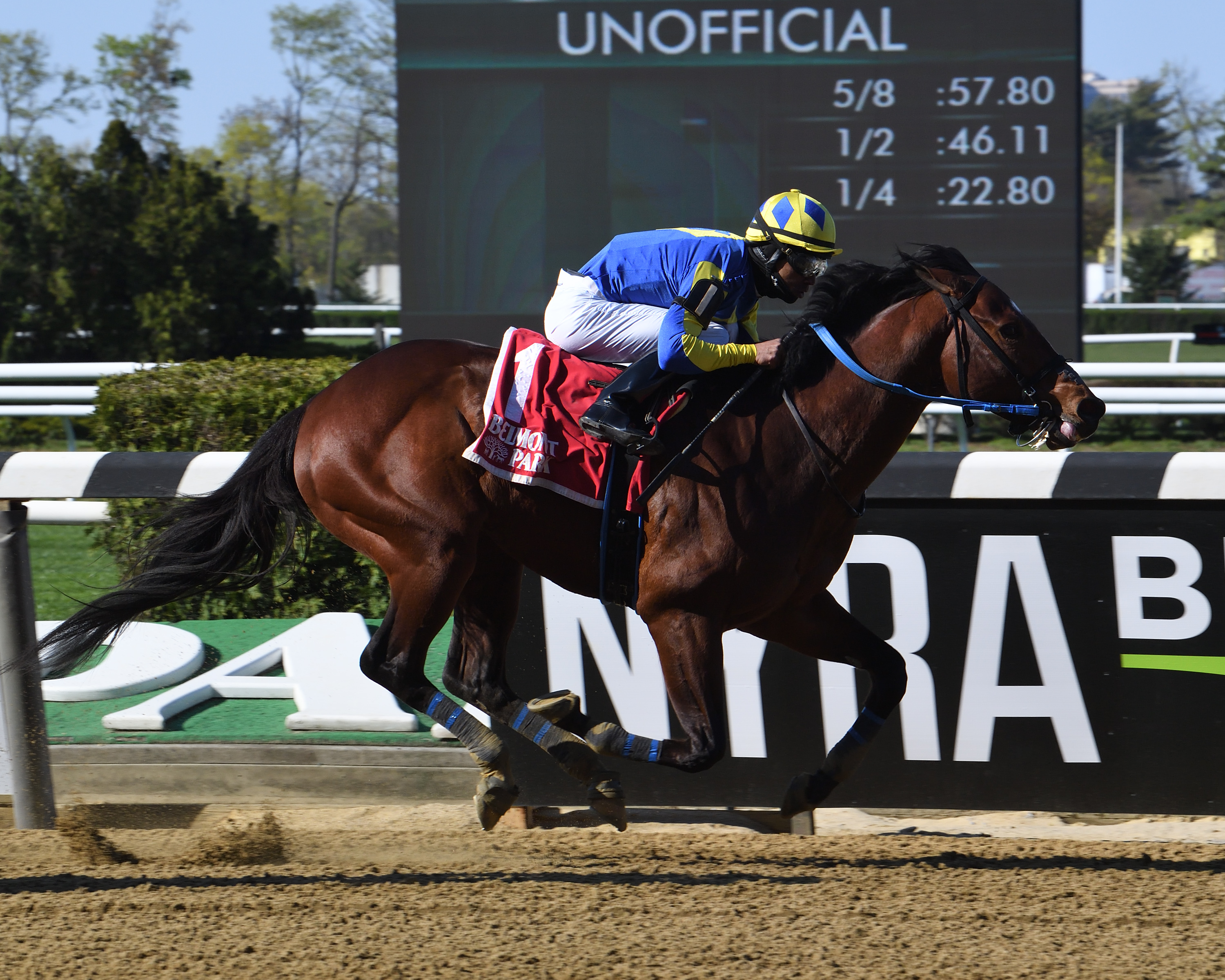 Bank on Shea/Affirmed Success