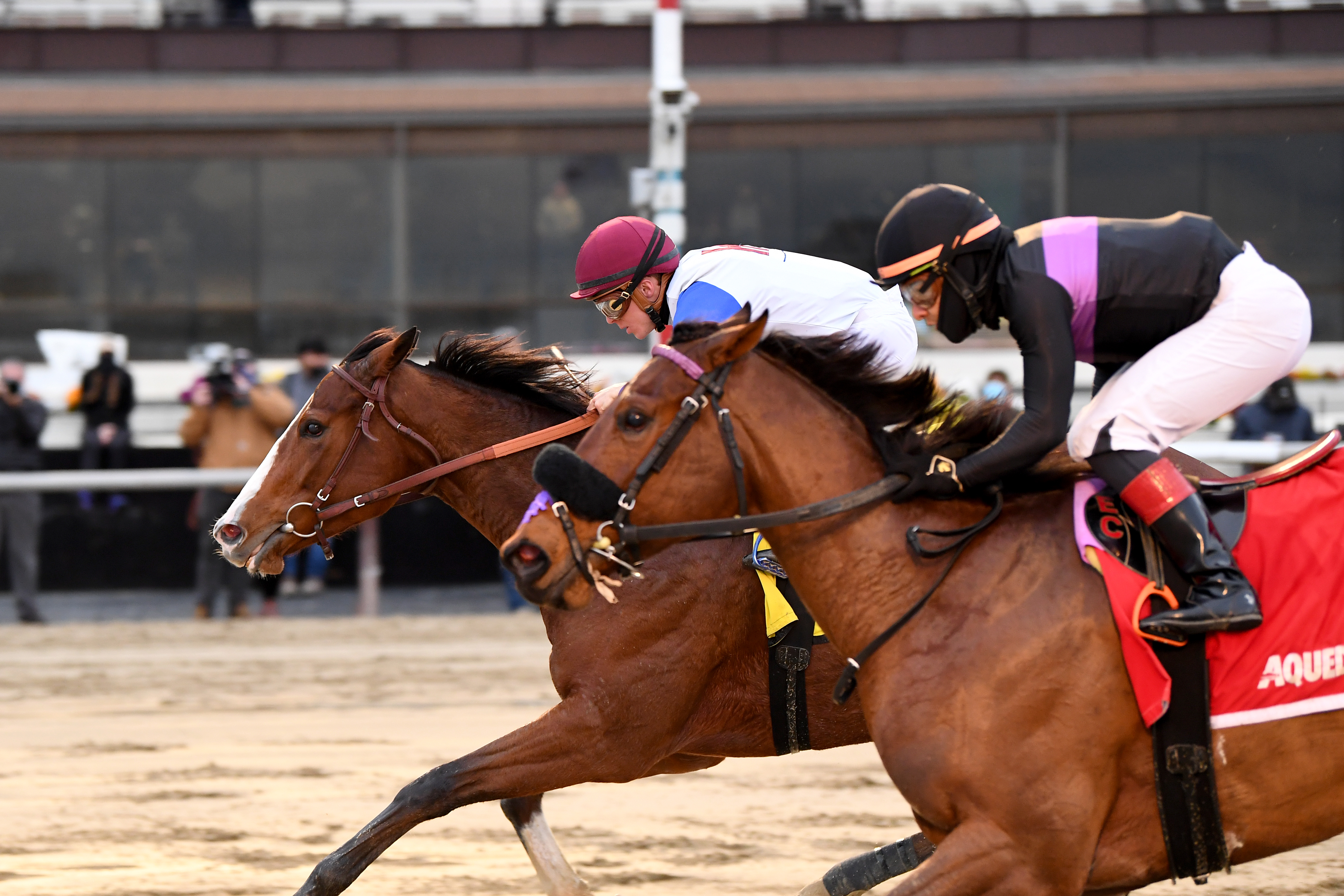 Bank Sting (rear) wins La Verdad 1-2-2022