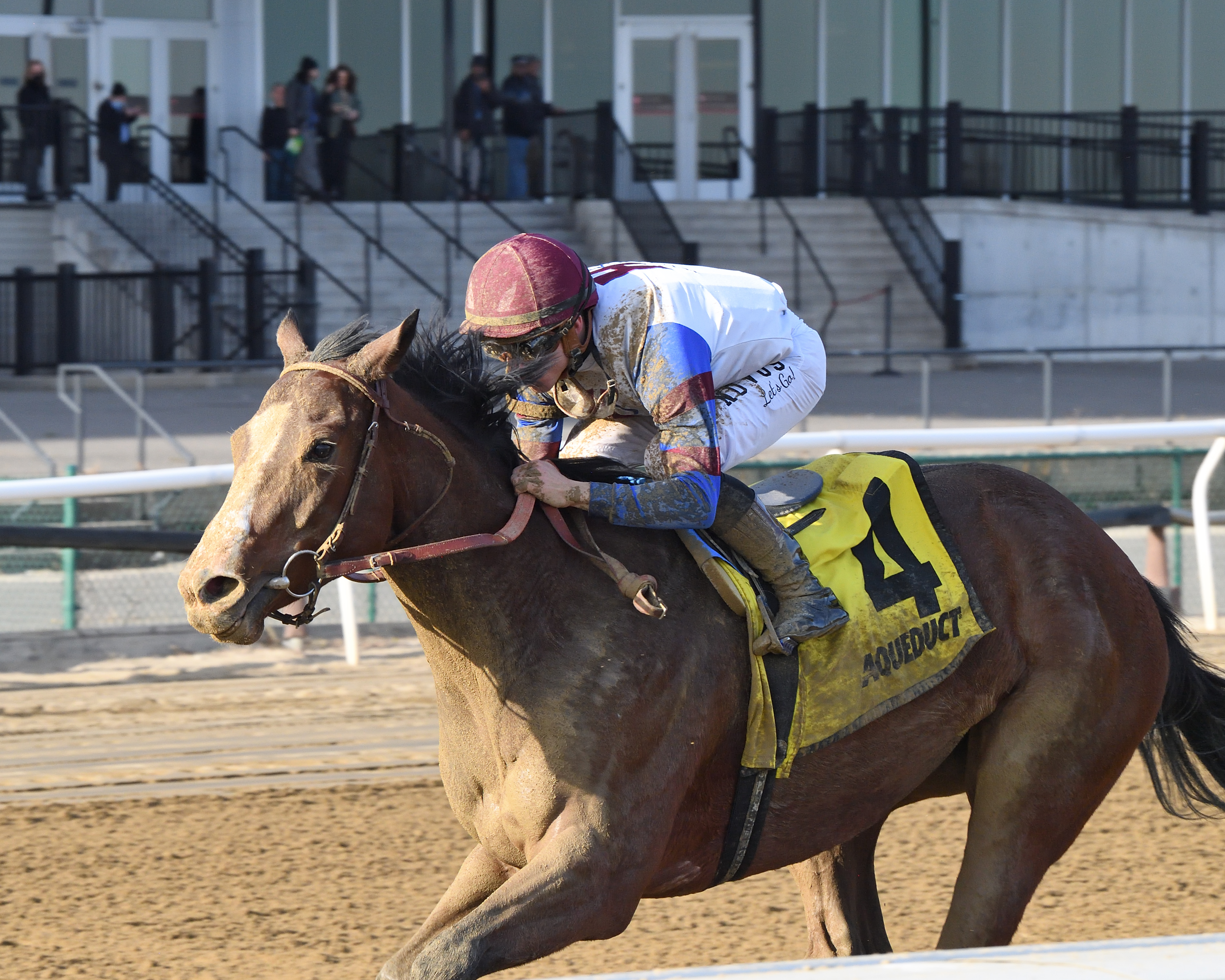 Bank Sting wins Staten Island 12-5-21