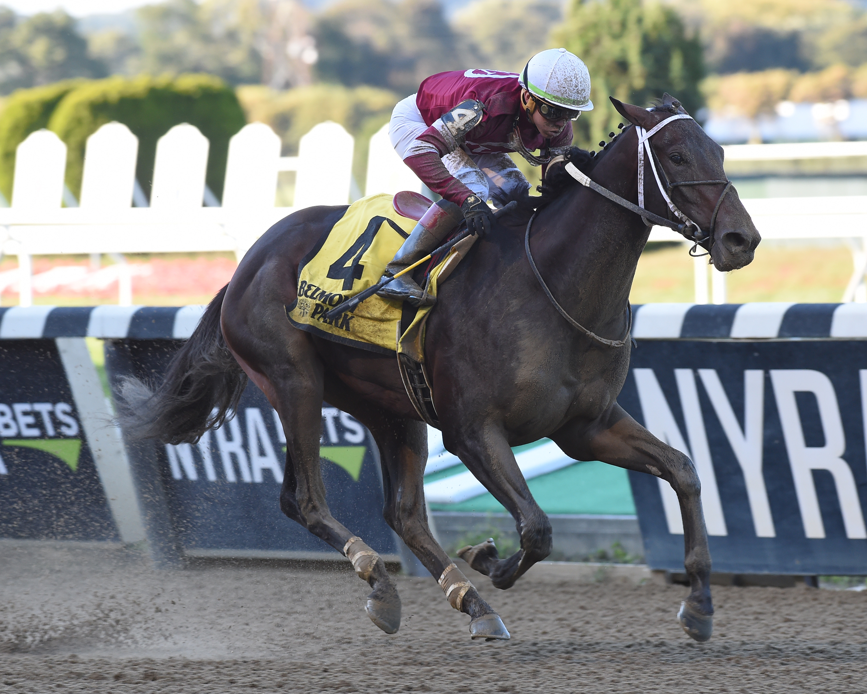 Bankit wins 2018 Sleepy Hollow