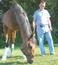 Barbaro