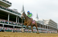 Barbaro