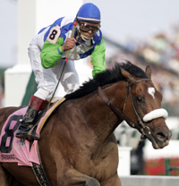 Barbaro