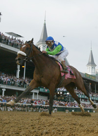 Barbaro
