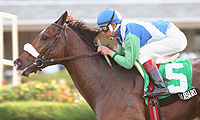 Barbaro
