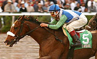 Barbaro