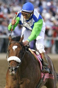 Barbaro