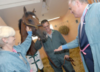 Barbaro
