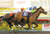 Barbaro