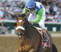 Barbaro