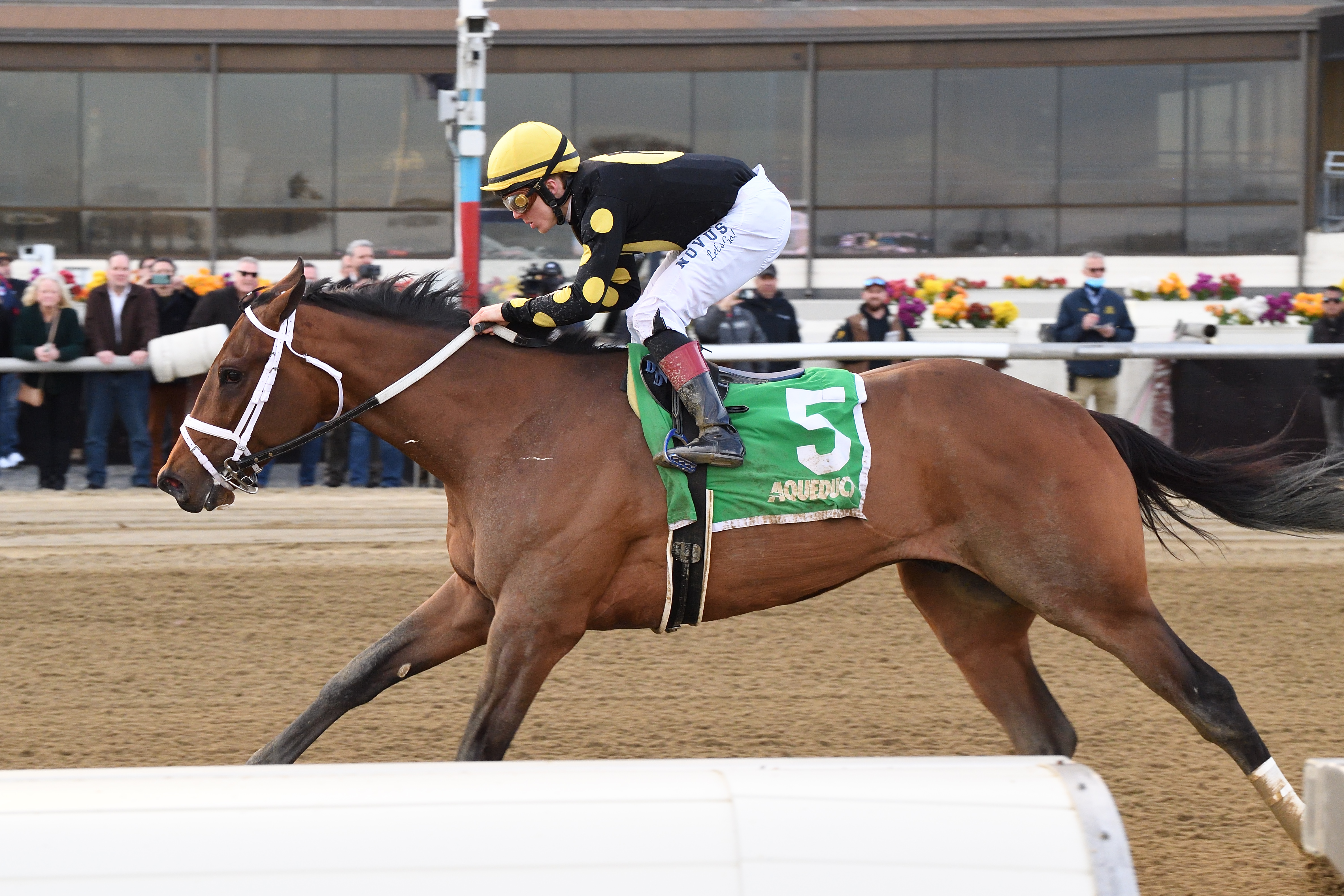Barese wins Gander 2-12-2022