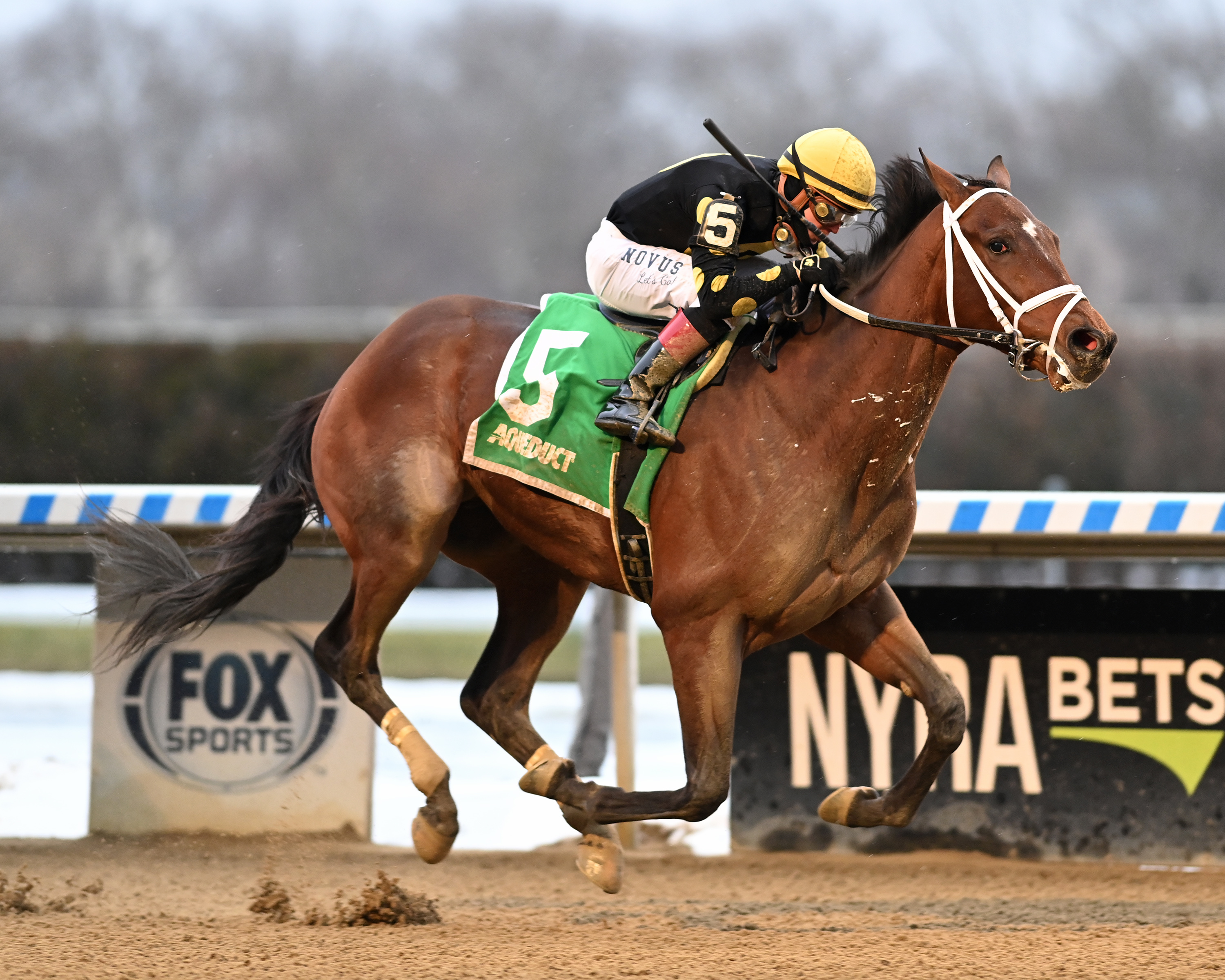 Barese wins Rego Park 1-9-2022