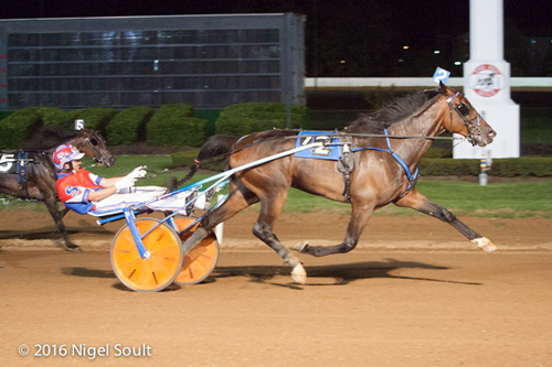 Barryscourt 8/21/16