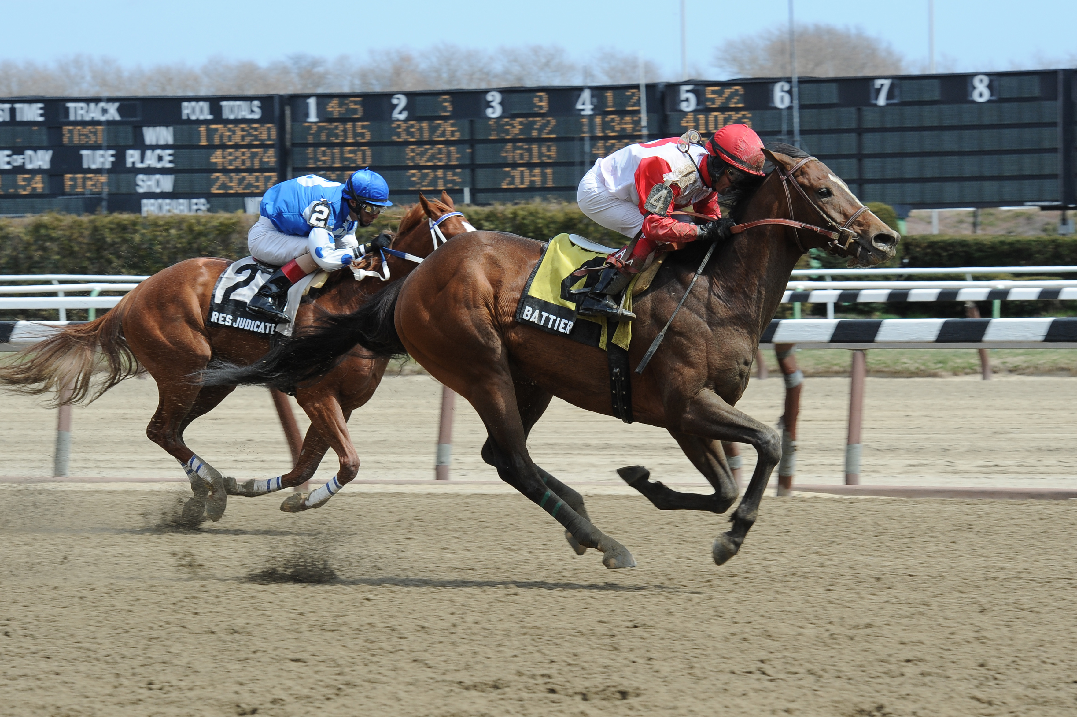 Belmont: Peter Pan first stakes test for Incognito