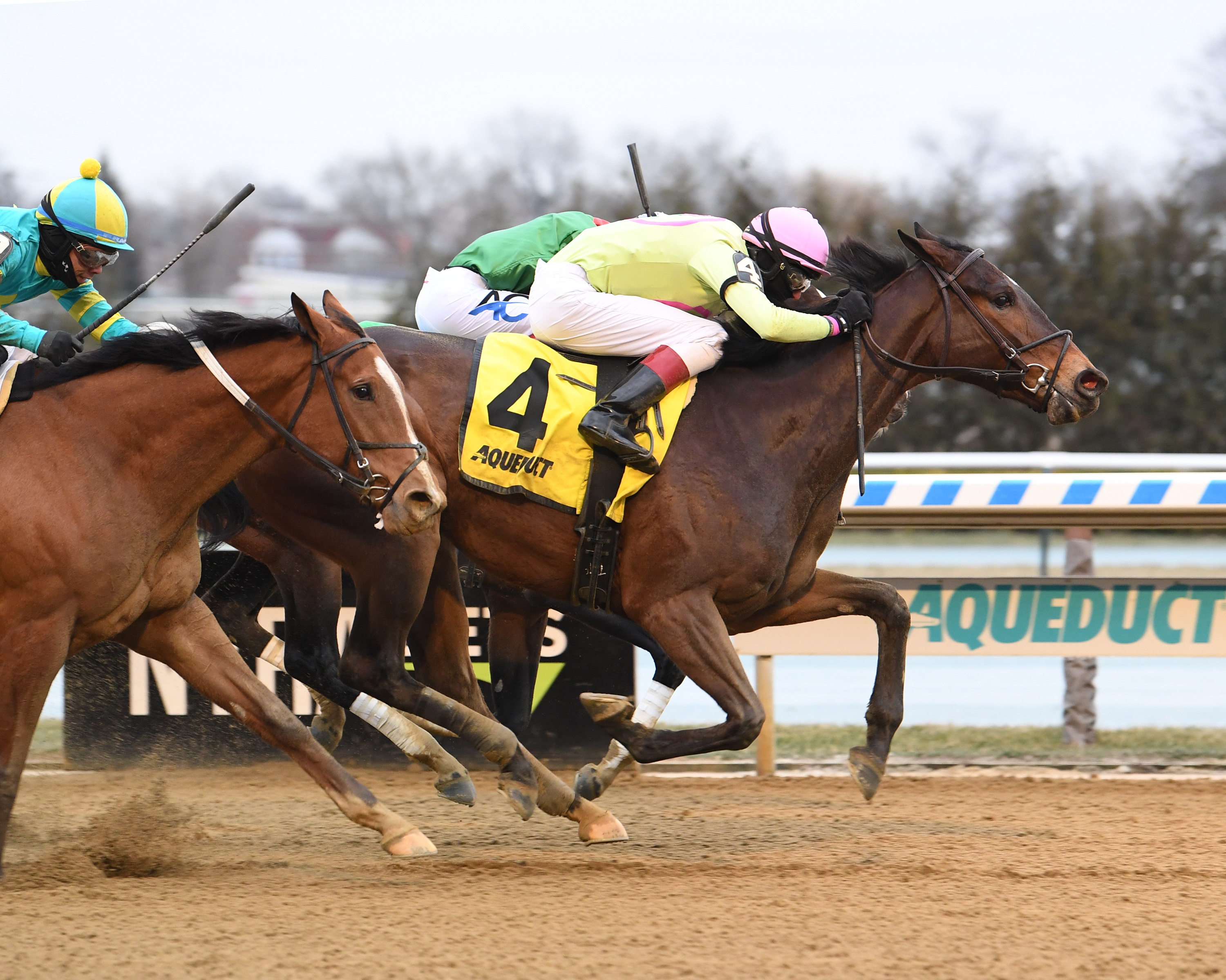 Battle Bling wins the Ladies 1-16-2022