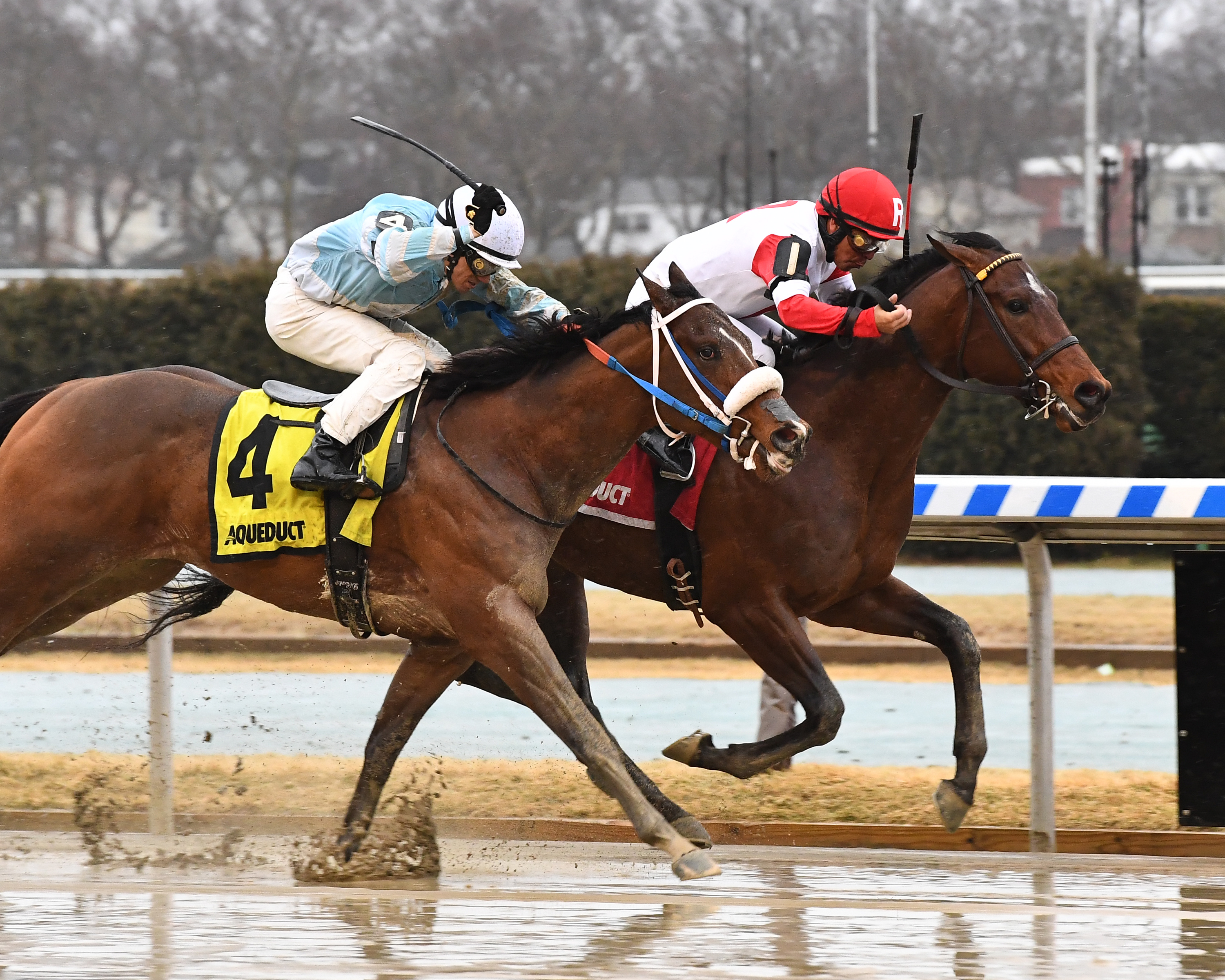 Battle Station wins the 2018 Rego Park Stakes