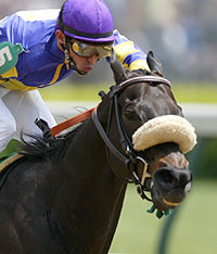 Battle Won