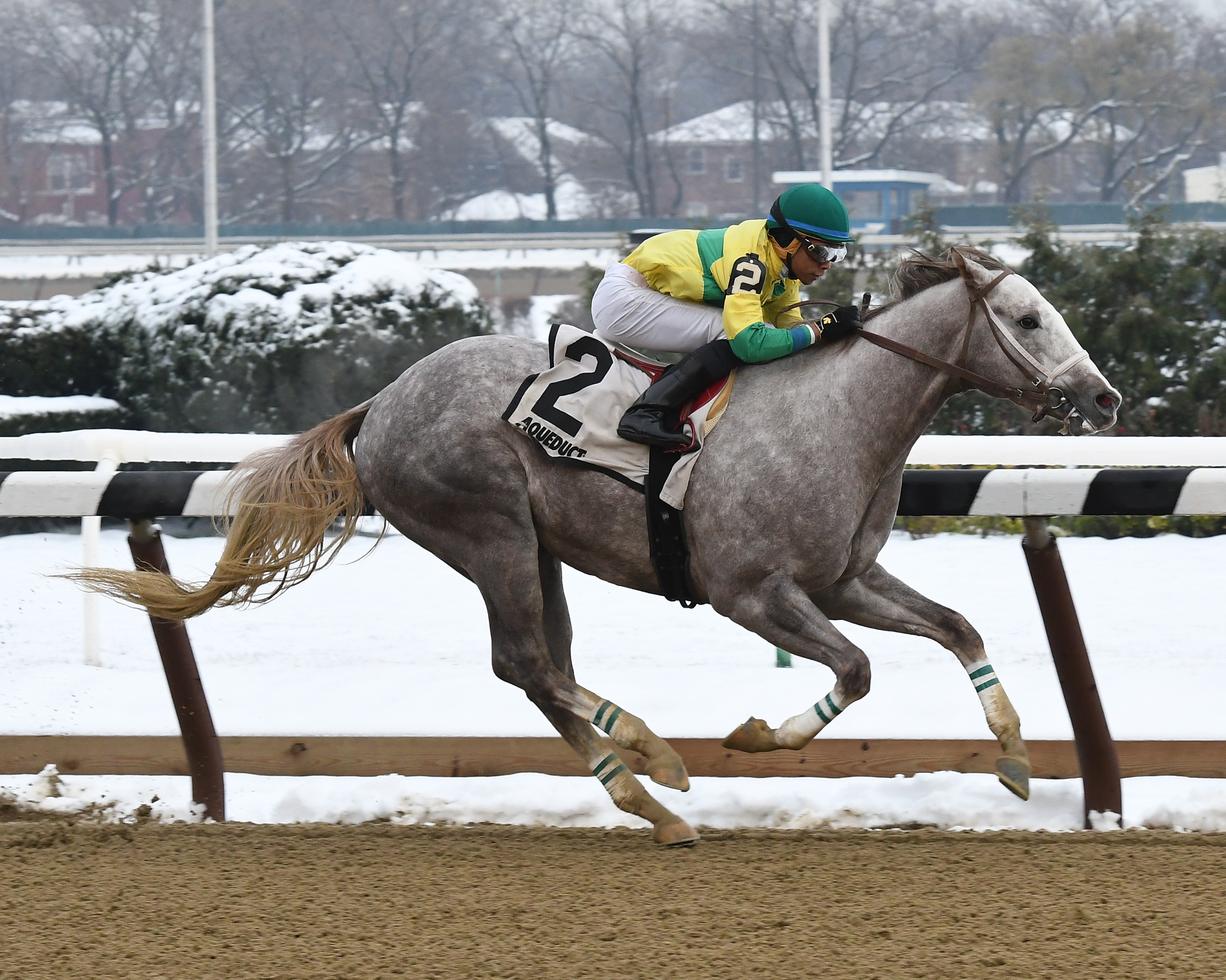 Bavaro wins the Great White Way