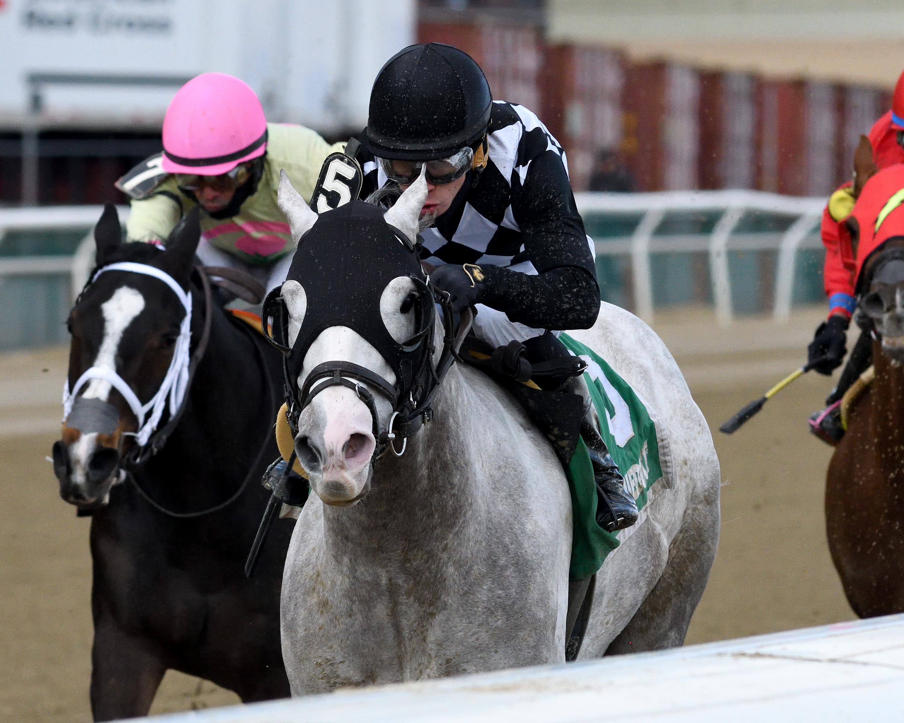 Bavaro wins 2019 Hollie Hughes