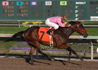 Russell Baze