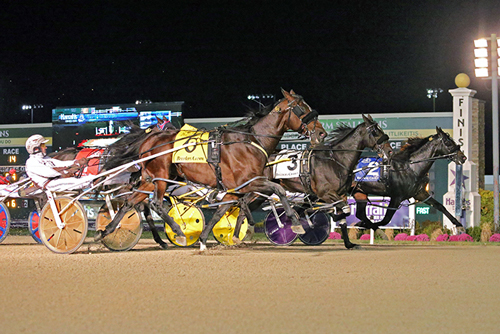 Breeders Crown Dead-Heat 10/30/20