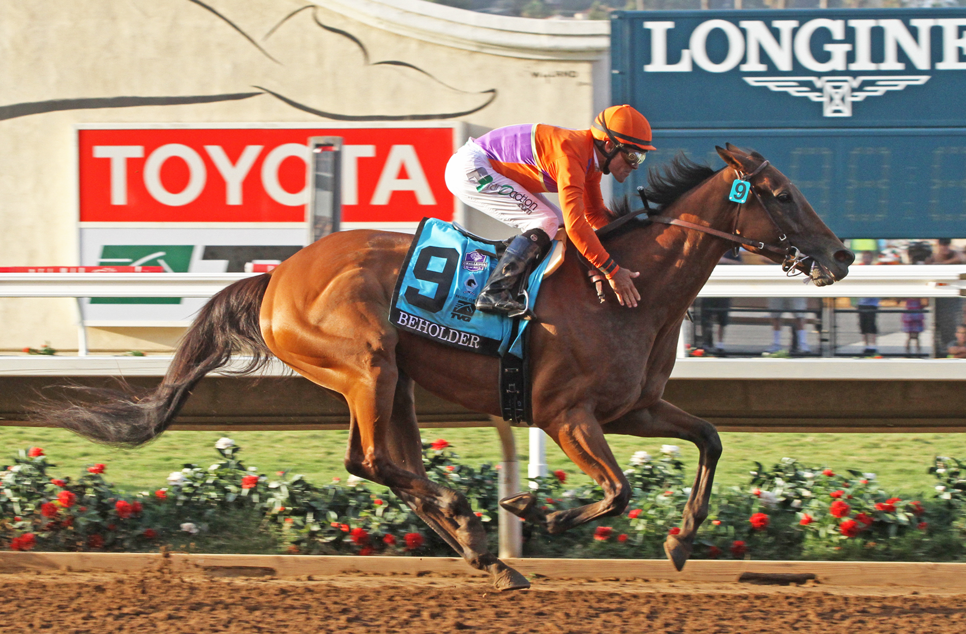 Beholder 8-22-2015