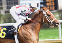 Jockey Rafael Bejarano