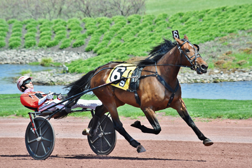 Bella Bellini 4-20-21