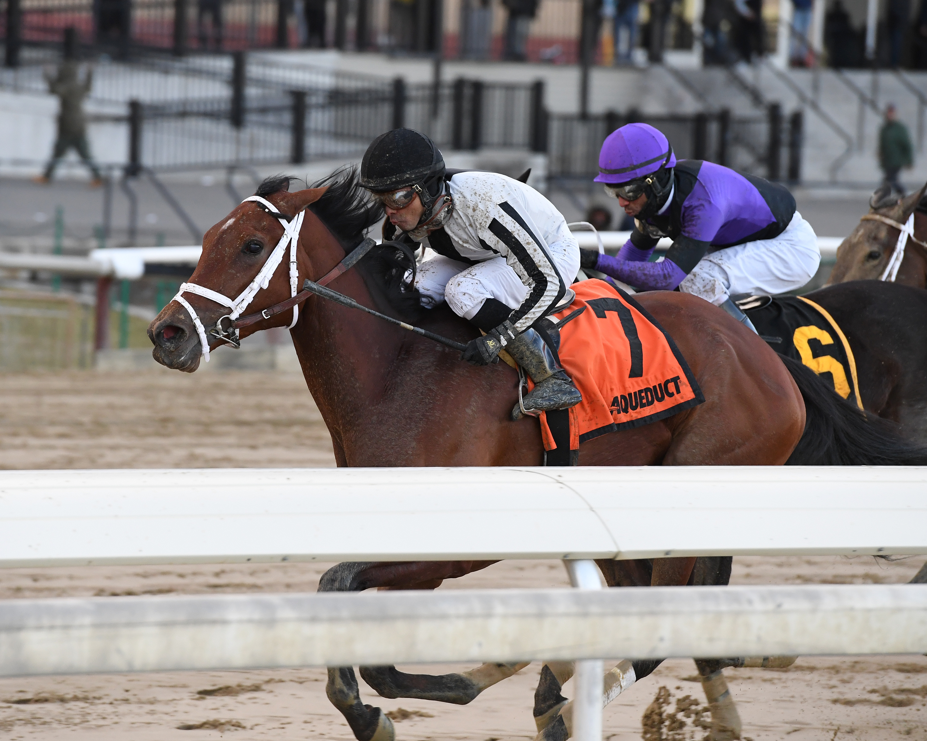 Bellera wins the 2020 Ladies Handicap