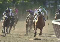 Belmont Stakes