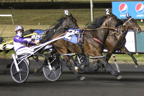 Belmont Royale N 1-7-23