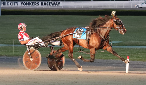 Berkery J 7/8/19