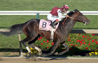 Bernardini