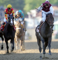 Bernardini