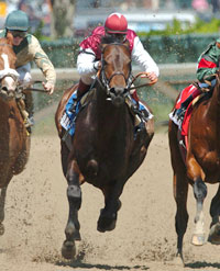 Bernardini