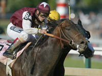 Bernardini