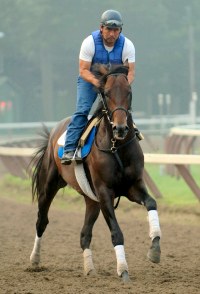 Bernardini