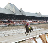 Bernardini